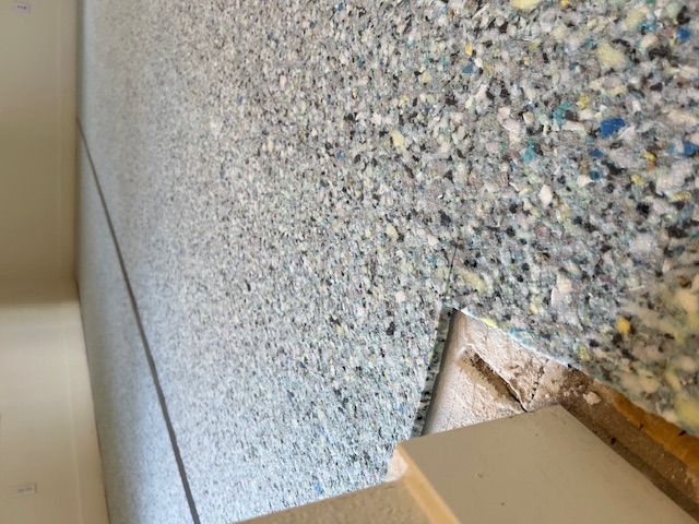 Carpet Project