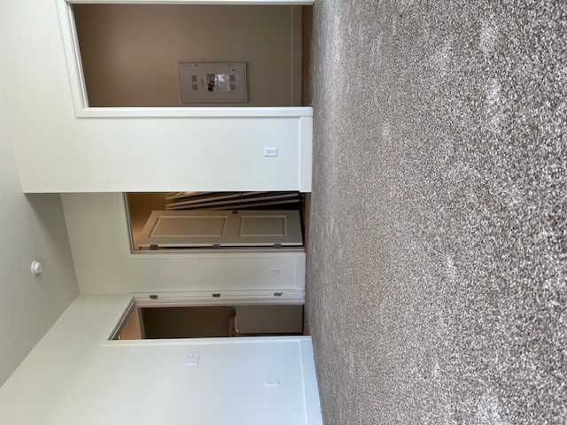 Carpet Project