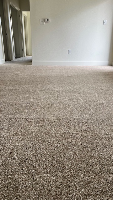 Carpet Project