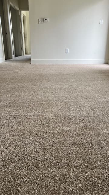 Low-angle view of newly installed textured carpet