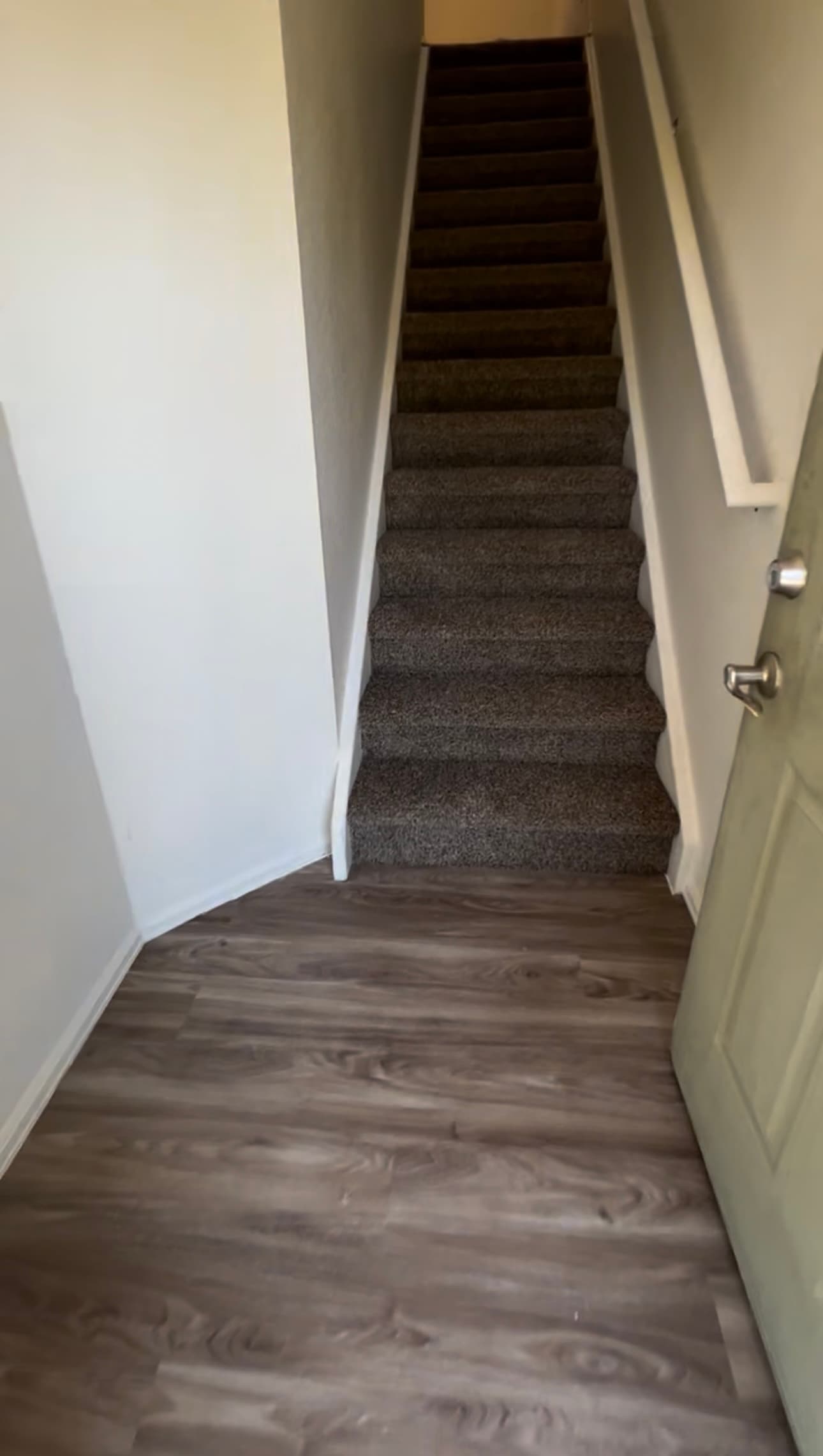 Carpeted staircase meeting wood-look plank flooring at the landing