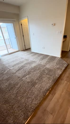 Taupe carpet transitioning to light oak wood-look flooring